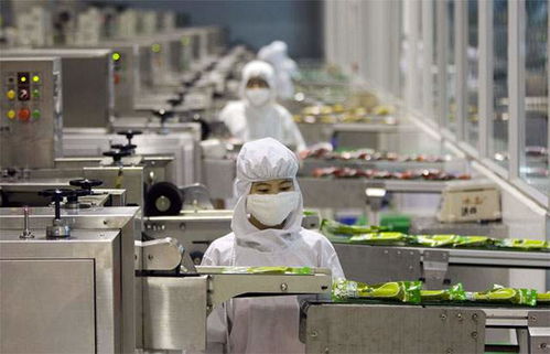 食品廠供應蒸汽的鍋爐選擇與燃氣蒸汽鍋爐廠家推薦